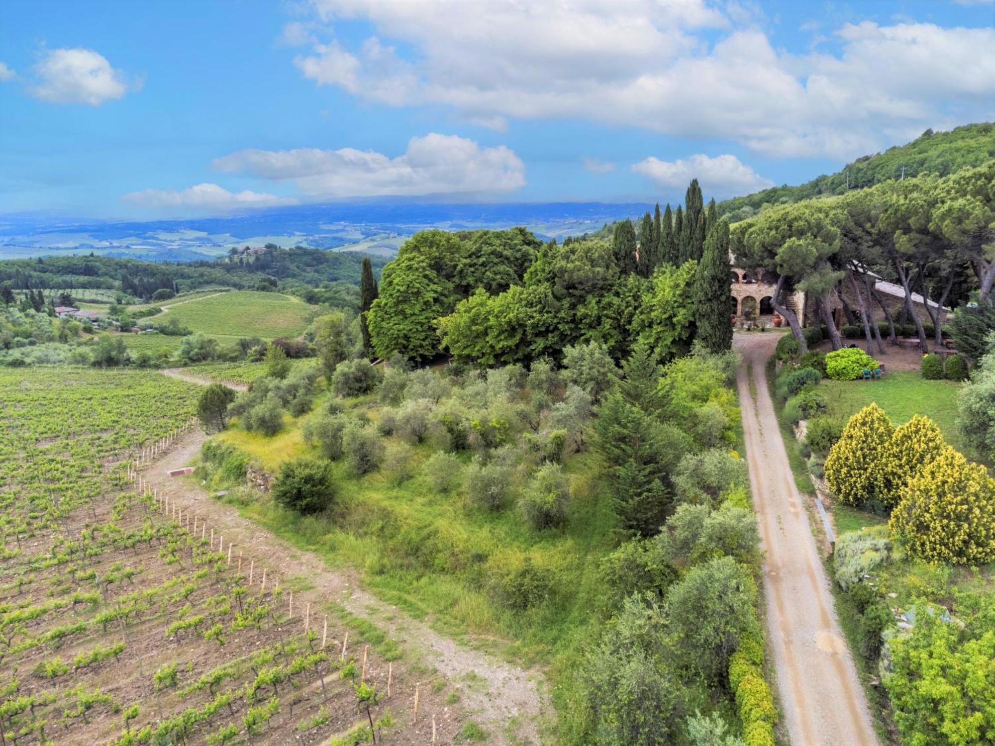 Apartment Cellole - Torretta - Ctc153 By Interhome Castellina in Chianti Εξωτερικό φωτογραφία